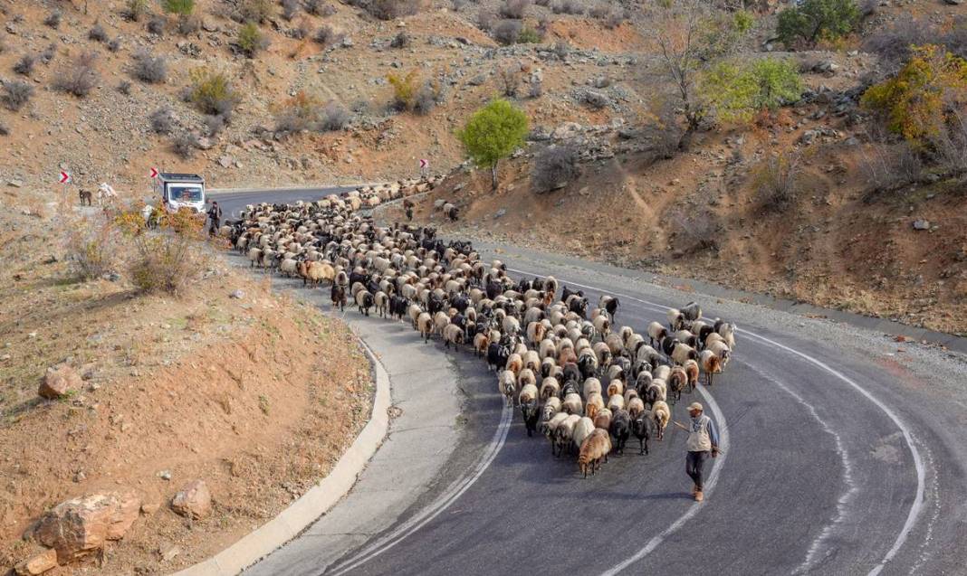 9 virajlı yolda Koçerlerin Diyarbakır’a dönüş yolculuğu 8